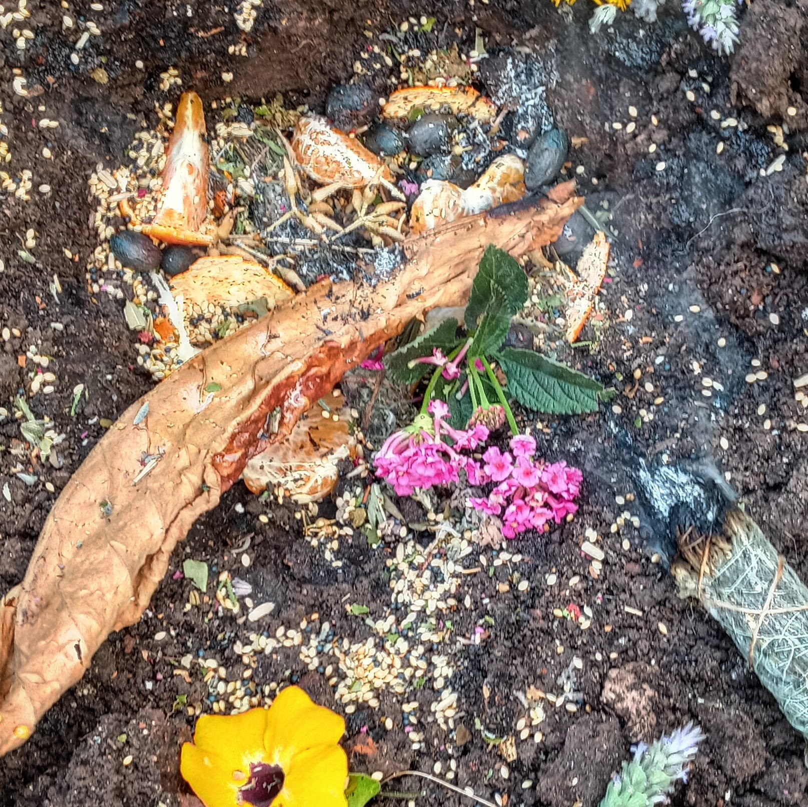 Hojas de tabaco para una ceremonia