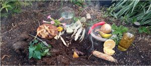 Día de la Pachamama: Ritual para Honrar a la Madre Tierra.