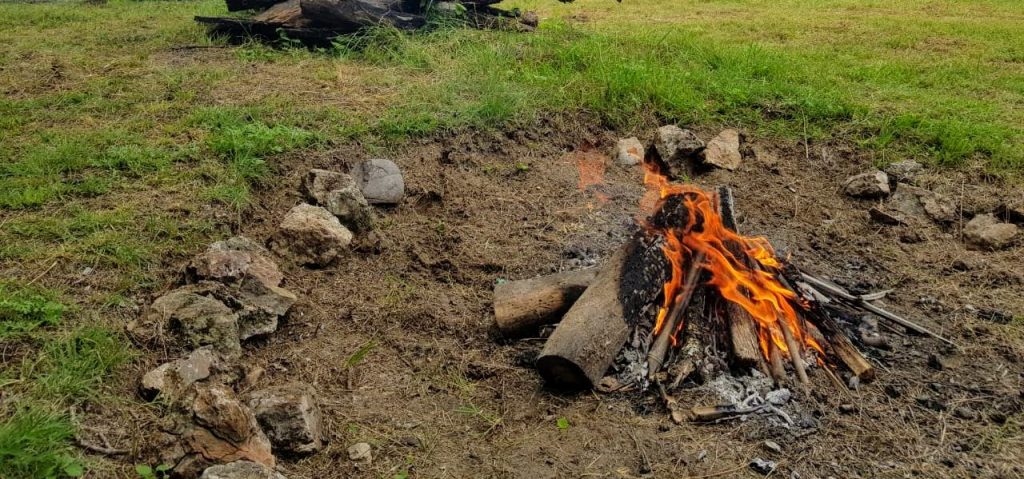 Fogata encendida sobre la tierra, rodeada de piedras, en un claro con pasto