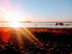 Ejercicios para vivir en gratitud: y salir de la queja.