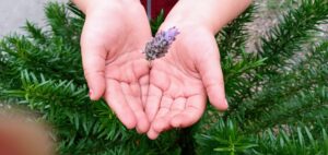 Afirmaciones positivas: Inclúyelas en tus meditaciones.