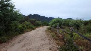 El viaje del héroe o el camino espiritual