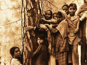 Abrazadores de árboles: Tradición, espiritualidad y ecología.