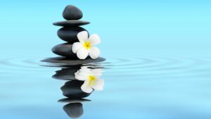 Meditación y Atención plena: Para mejorar tu bienestar.