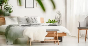 Feng Shui en tu Dormitorio: 7 Plantas Sagradas para Energía Positiva.