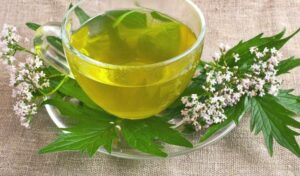 Té para el Estrés y la Ansiedad: Sabiduría Ancestral para tu Bienestar.