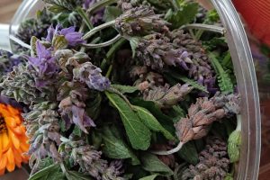 Aceites naturales caseros: Guía práctica