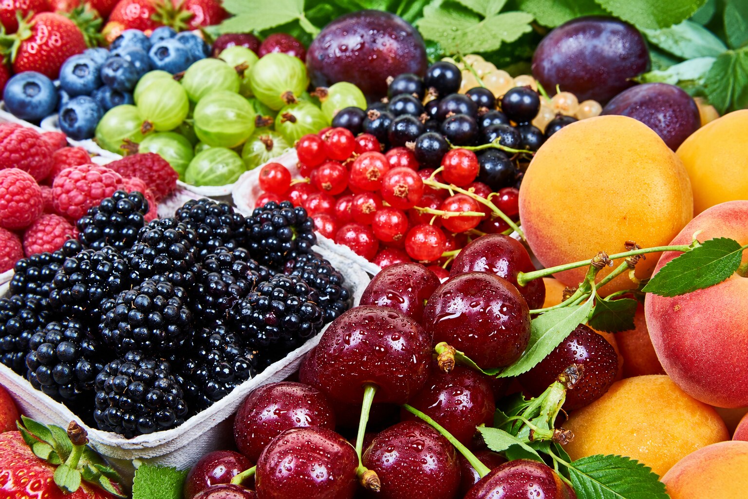 Imagen de portada de «Alimentos Antioxidantes: Hábitos Saludables».