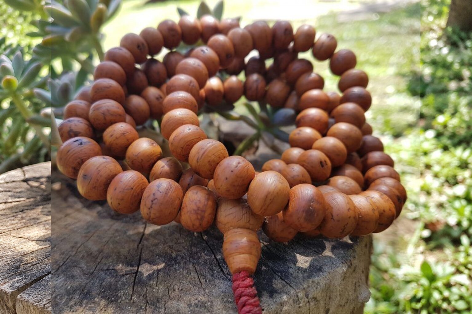 Imagen de portada de «Mala Budista: Collar de Oraciones. Meditación y conexión».
