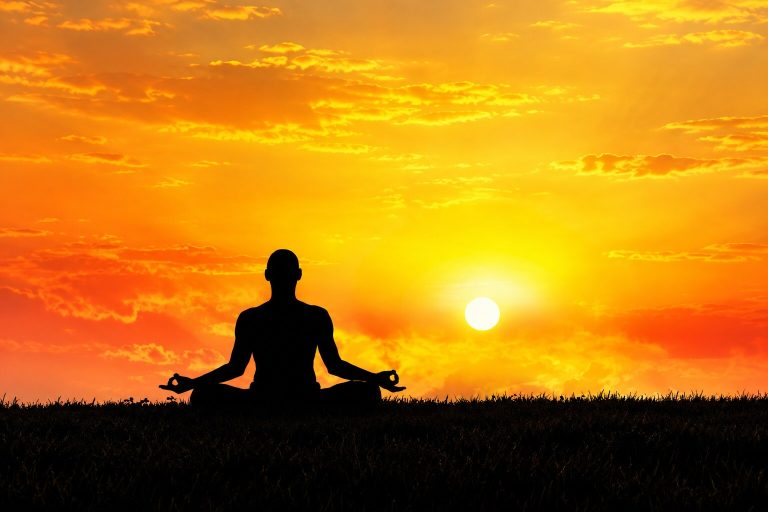 Imagen de portada de «El Nido del Meditador: Guía Práctica para la Meditación. El Libro de Jamyang Tenzin Khenpo».