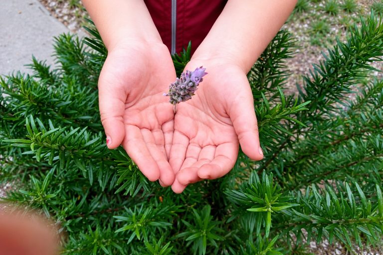 Imagen de portada de «Afirmaciones positivas: Inclúyelas en tus meditaciones».