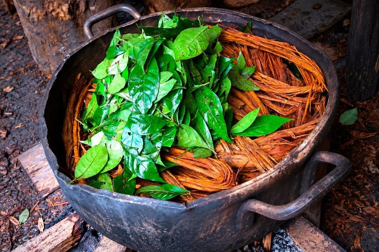 Imagen de portada de «Más allá de la ayahuasca: Rituales sagrados».